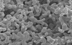 Polymer Coating Accelerates Fuel Production