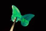 A new liquid crystal ink for 3D printing