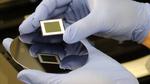 ANU scientists set new record with bifacial solar cells