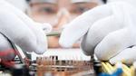 Butterfly wings, breathing viruses, and breakthrough devices
