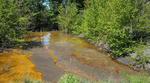 New sensor can detect valuable rare earth element in non-traditional sources