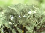 One scientist’s trash is another’s treasure: A laboratory’s “irritating” byproduct now supplies 2-D materials research