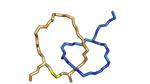 Researchers invent world’s smallest biomechanical linkage