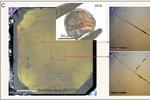 Chinese scientists develop glass as hard as a diamond