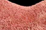 Artificial ultra-tiny ‘hairs’ open up future small-scale applications