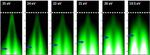 Disorder brings out quantum physical talents