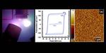 Ferroelectrics everywhere?