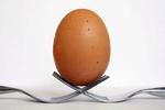 Research finally reveals ancient universal equation for the shape of an egg