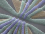 Quantum entanglement of three spin qubits demonstrated in silicon