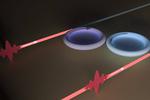 Engineering various sources of loss provides new features for perfect light absorption