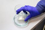 ITMO Researchers Create Nanoparticle Paste To Maximize Perovskite Solar Cell Efficiency