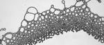 Physicists make square droplets and liquid lattices