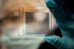 Solar cells with 30-year lifetimes for power-generating windows