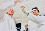 UNSW scientists solve decade-old graphene oxide puzzle