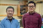 Engineering researchers develop new explanation for formation of vortices in 2D superfluid
