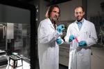 EPFL engineers introduce a new approach for recycling plastics