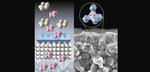 Fine-tuned hydrocarbon separation at low energy cost