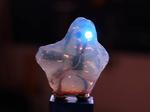 Electronic Ghost