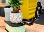 Automatic Plant Watering + Time-Lapse