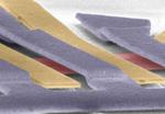 Novel quantum effect discovered in naturally occurring graphene