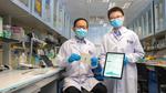 NUS researchers develop world’s first smart bandage that detects multiple biomarkers for onsite chronic wound monitoring