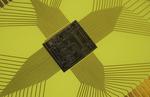 ITMO Researchers Generate Laser Radiation in Anapole Modes
