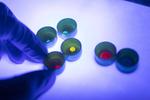 UQ research unlocks the technology to produce unbreakable screens