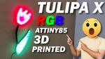 Tulipa x RGB Edition
