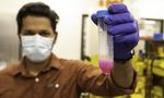 Researchers develop novel 3D printing technique to engineer biofilms