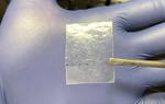 Researchers Discover Another Way To Sequester Lead in Perovskite Solar Cells
