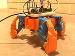 Bubba - The quadrupedal spider robot