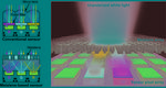 Color-Sorting Metalenses Boost Imaging Sensitivity