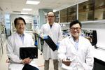 Giving e-waste plastics a new lease of life