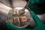 New Smart-Roof Coating Enables Year-Round Energy Savings