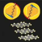 Resolving the Puzzles of Graphene Superconductivity