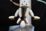 Stanford engineers develop a robotic hand with a gecko-inspired grip