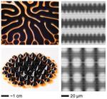 Tuning a magnetic fluid with an electric field creates controllable dissipative patterns