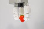 NUS engineers bring a soft touch to commercial robotics