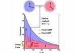 Snapshots from the quantum world