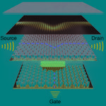 The first topological acoustic transistor