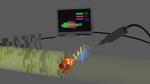 Researchers Use Ghost Imaging to Speed Up X-ray Fluorescence Chemical Mapping