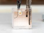 Bone growth inspired “microrobots” that can create their own bone