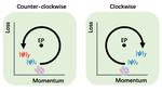 HKUST researchers find new way of gaining quantum control from loss