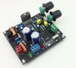 Dual 40W Audio Power Amplifier with Mute