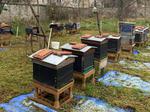 How to monitor a beehive with Arduino Nano 33BLE (bluetooth)