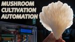 Mushroom Cultivation Automation: From Foraging To Fruiting