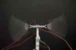 Bristol scientists develop insect-sized flying robots with flapping wings