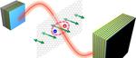 Revealing New States in 2D Materials