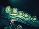 Transparent ultrasound chip improves cell stimulation and imaging