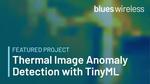 Thermal Image Anomaly Detection with TinyML